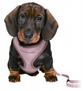 Ham + Lesa Junior Puppy Soft, 26-34 cm/10 mm, lila, 15564 - Img 2