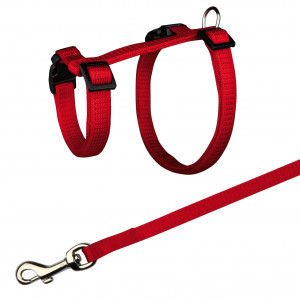 Ham Si Lesa Pentru Iepuri, 25-44 cm/10 mm, 1.25 m, Diverse Culori - Img 2