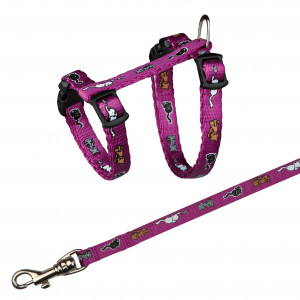 Ham si Lesa pentru Pisici Junior, Diverse Culori, 21–33 cm/8 mm, Culoare Cu Model