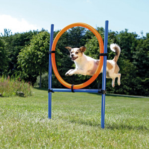 Inel pentru Caini, Fun Agility, Plastic, 115 x 3 cm, 65 cm