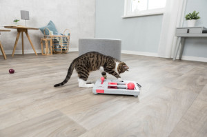 Jucarie Cat Activity, Brain Mover, 25 x 20 cm - Img 6