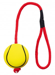 Jucarie Pentru Caini, Minge Sport Pe Sfoara, 6/30 cm - Img 4