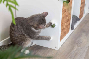 Jucarie Pentru Pisici, Minge Catnip Cu Suport, 5 cm, 42242
