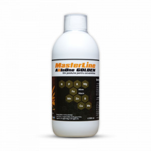 Masterline All in One Golden (500ml)