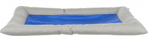 Saltea Racoritoare Cool Dreamer, 75 x 50 cm, 28781