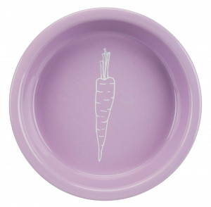Castron Ceramic Pentru Iepuri, Cu Motiv Morcov, 200 ml/ 14 cm, Diverse Culori - Img 4