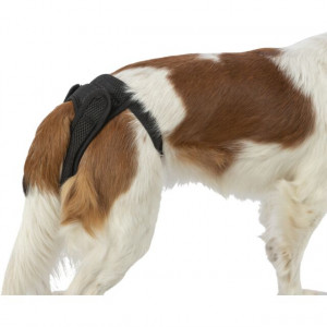 Chiloti de Protectie Confort pentru Caini Femele, Negru, Marime M, Dimensiune 40-50 cm - Img 3