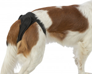 Chiloti de Protectie Confort pentru Caini Femele, Negru, Marime S, Dimensiune 30-37 cm - Img 3