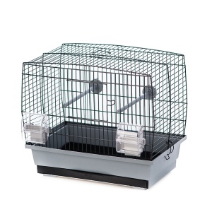 Colivie Natalia 1 Gri/Negru