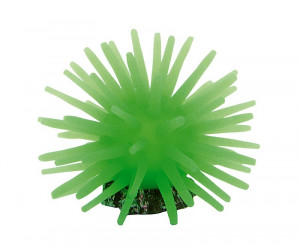 Decor Acvariu, Coral 5cm, R119