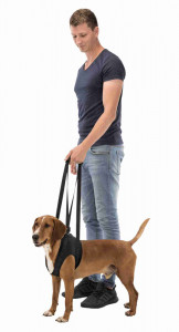 Ham de Reabilitare, Negru, Marime M, Dimensiune 55 - 65 cm/Pana la 25 kg - Img 3