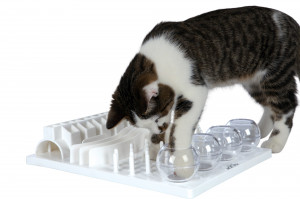 Jucarie Cat Activity, Fun Board Strategy Game, 30 x 40 cm - Img 3