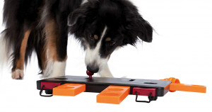Jucarie Dog Activity, Move2Win, 34 x 13 cm - Img 4