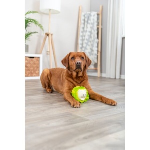 Jucarie Pentru Caini, Varza-Porc, Latex, Cu Sunet, 23 cm, Verde Deschis - Img 5