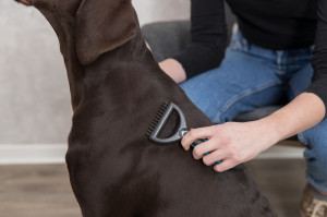 Piaptan (Groomer) Par Lung si Des 7x18 cm 24243 - Img 3