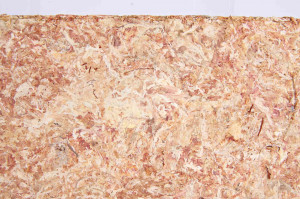 Substrat Tropical Pentru Terariu,100 g - Img 4