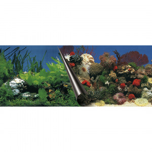 Fundal Dublu pentru Acvariu, Piatra si Coral, 60 x 30 cm
