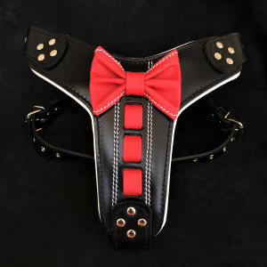 Ham Bowtie-Papion, Piele Naturala, Negru/Rosu, Marime M, Produs Redus