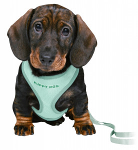 Ham + lesa Junior Puppy soft, 26-34 cm/10 mm, verde, 15565 - Img 2