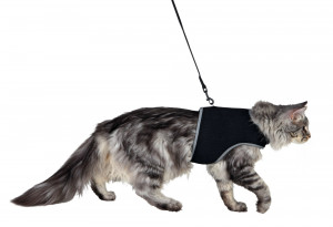 Ham Si Lesa Soft Pentru Pisici, XXL: 36-54 cm/10 mm, 1.20 m, Negru