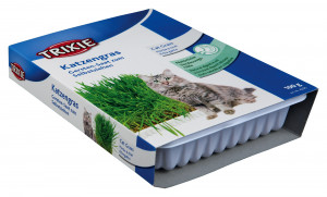 Iarba Pisicii Din Seminte De Orz, Continut Cutie: 100 g