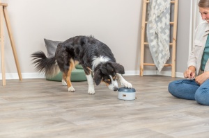 Jucarie Dog Activity, Buzzer, 14 x 9.5 cm - Img 2