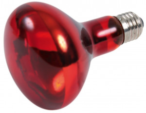 Lampa De Caldura Cu Infrarosu Pentru Terariu,100W, Rosu - Img 2
