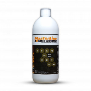 Masterline All in One Golden, 1000ml