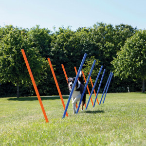 Slalom pentru Caini, Fun Agility, Plastic, 3 x 115 cm, 12 buc - Img 2