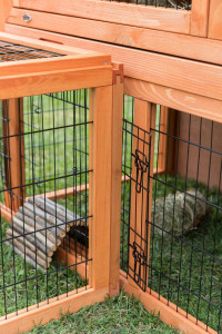 Tarc Exterior cu Capac pentru Rozatoare, 174 x 48 x 109 cm, Maro - Img 3