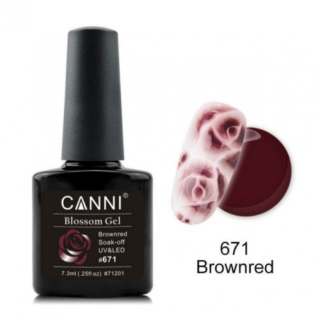 Oja Semipermanenta CANNI Blassom 671 Brownred