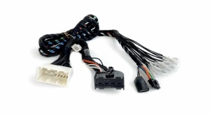 Cablu Plug&amp;Play APBMW REAMP 2