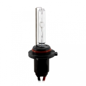 Bec Xenon H10-4300K
