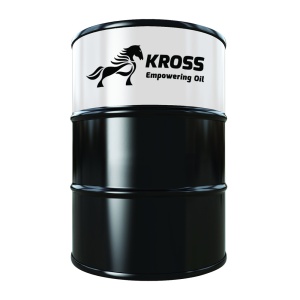 Kross Exeo 5W30 C2 - 208L