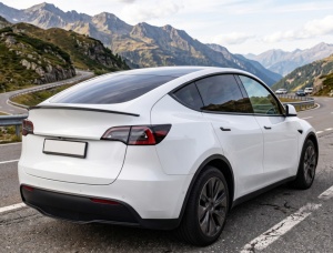 Eleron Portbagaj compatibil cu Tesla Model Y 2020-2024, plastic negru lucios - Img 2