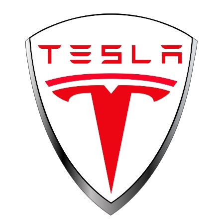 Covorase Auto TESLA