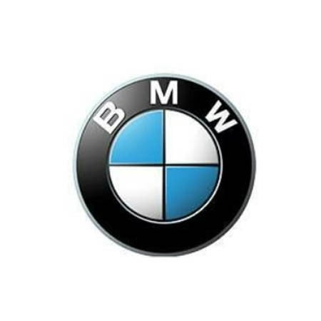 Cui / Carlig BMW