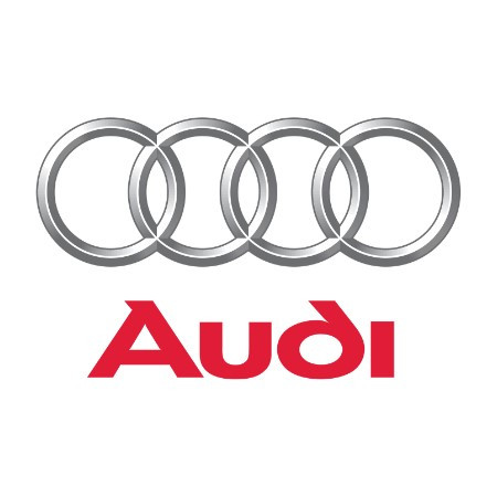 Tavite Portbagaj Audi