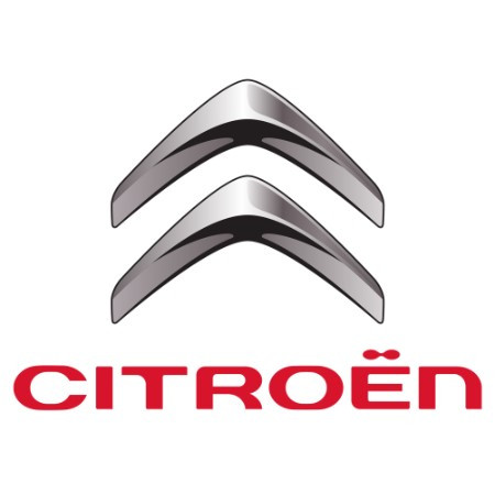 Amortizoare Portbagaj Citroen