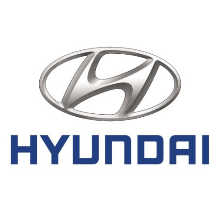 Amortizoare Portbagaj Hyundai
