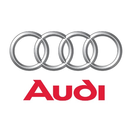 Oglinzi auto AUDI