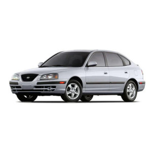 Hyundai Elantra IV Hatchback din 2001 - 2007 *1, Tavita Pentru Portbagaj Lux Premium Dedicata, accesorii pentru autoturismul tau - masina v189972