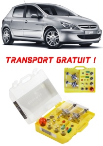 Kit trusa Set becuri H4 compatibila cu Peugeot 307 din 2001 - 2008 , bec far, semnalizare , pozitie, iluminare numar, frana, plafoniera, stop frana