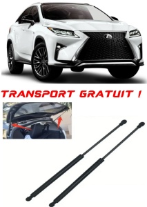LEXUS RX (_U3_) - Set 2 amortizoare pentru portbagaj / haion compatibil cu LEXUS RX (_U3_) fabricat 2003 – 2008 accesorii pentru autoturismul tau - masina v27806