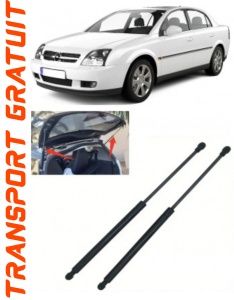 Set 2 amortizoare portbagaj Magnum Technology pentru Opel Vectra C GTS (Z02), caroserie Sedan, an fabricatie 2003 - 2008 Magnum accesorii pentru autoturismul tau - masina v103499