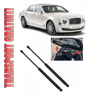 BENTLEY MULSANNE (3Y_) - Set 2 amortizoare pentru portbagaj / haion compatibil cu BENTLEY MULSANNE (3Y_) fabricat 2009 – 2020