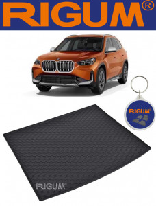 Bmw X1 F48 Suv din 10.2015 - Prezent *1, Tavita Pentru Portbagaj Lux Premium Dedicata, accesorii pentru autoturismul tau - masina v192110