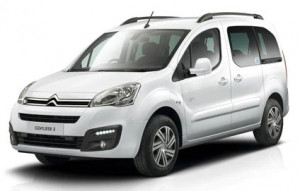 Citroen Berlingo I Van din 1996 - 2008 *1, Tavita Pentru Portbagaj Lux Premium Dedicata, accesorii pentru autoturismul tau - masina v185361