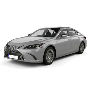 Lexus Es Hybrid Din 09.2018 - Prezent, Sedan , Set Covorase Auto Tip Tavita Premium 3D, din cauciuc accesorii pentru autoturismul tau - masina v166314