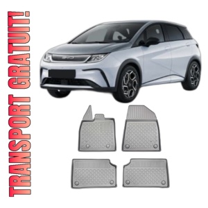 Set covorase BYD DOLPHIN din 2021 - Prezent, covorase tavita, caroserie HATCHBACK, compatibile cu autoturismul BYD DOLPHIN, ARISTAR